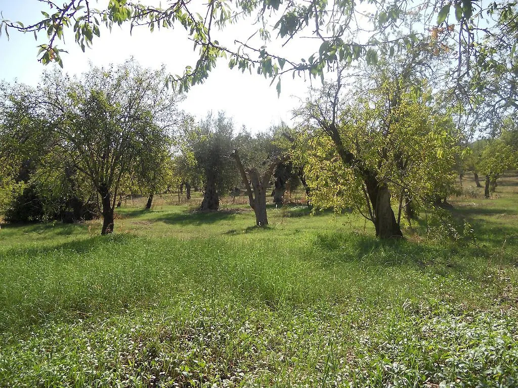 Terra Di Eloro Fritidshus Noto 0*,