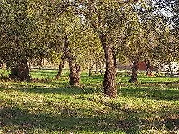 Villa Terra Di Eloro Noto Casa vacanze